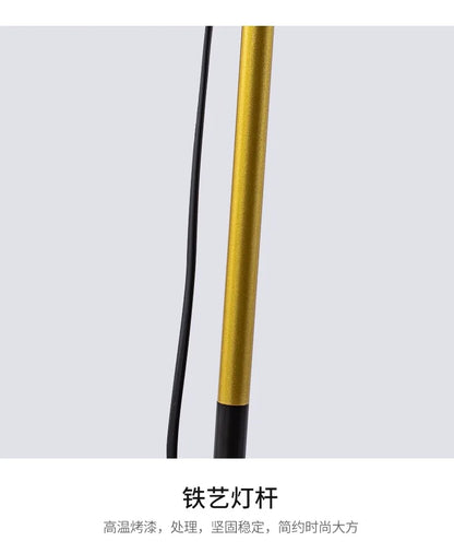 Floor Lamp Simple Floor Lamp Floor Light Wrought Iron LED Standing Lamp Adjustable Lamp Head Standing Reading Light for Living R